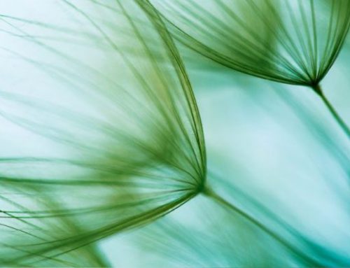 ¿Qué significa Fecundación In Vitro?