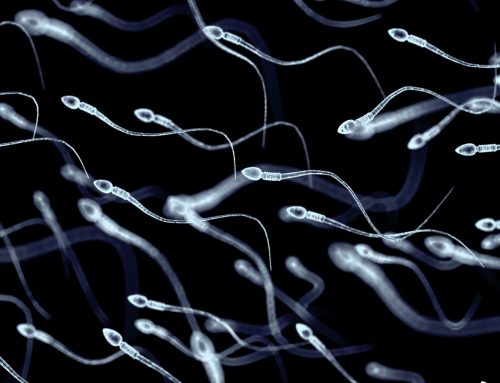 ¿Qué es la teratozoospermia?